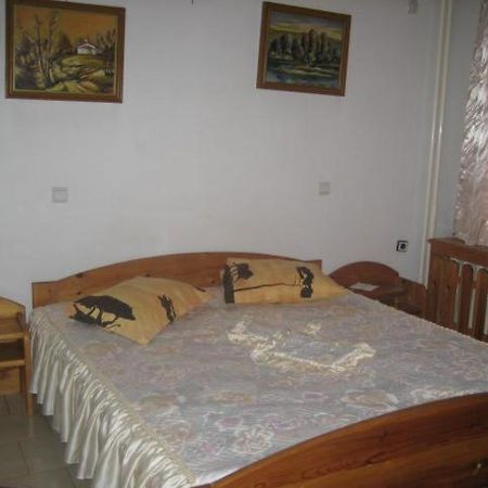 Kocherinovo Hotel Mishel מראה חיצוני תמונה