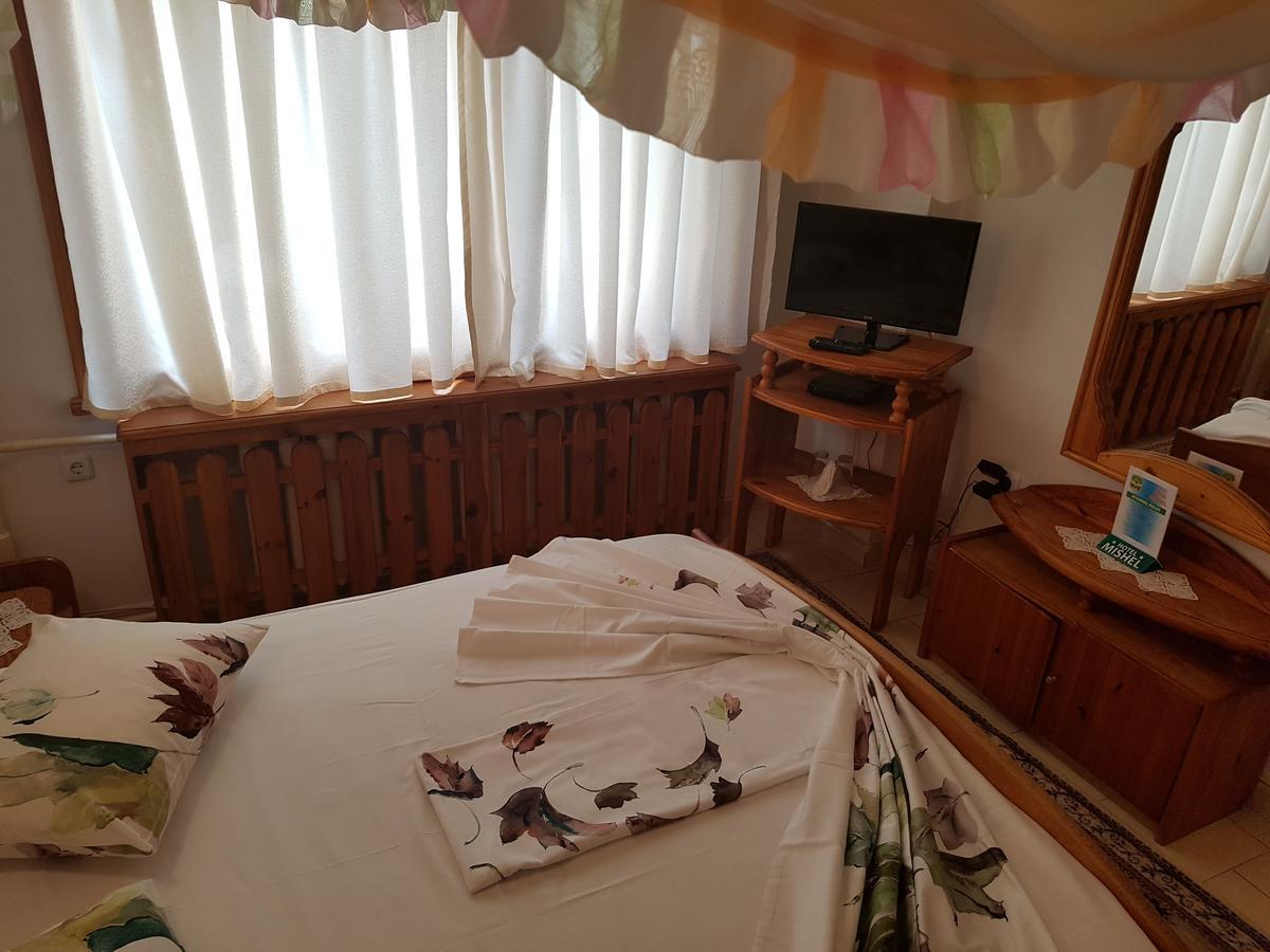 Kocherinovo Hotel Mishel מראה חיצוני תמונה