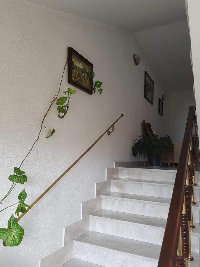 Kocherinovo Hotel Mishel מראה חיצוני תמונה
